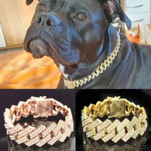 coleira corrente para cães