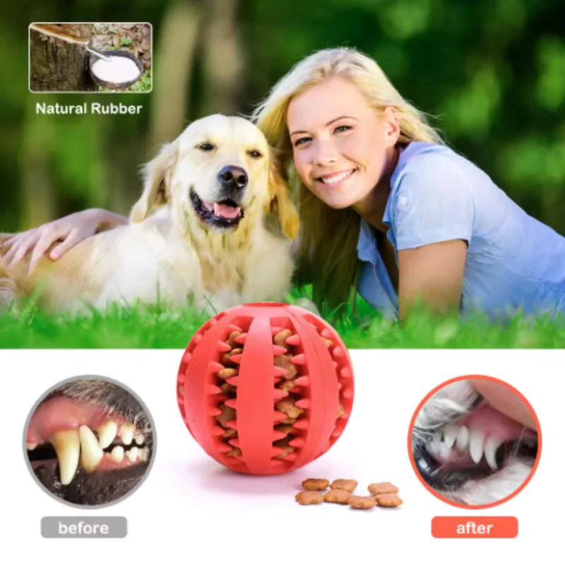 Brinquedo Bola para Cães de Borracha com Limpeza de Dentes - Imagem 3