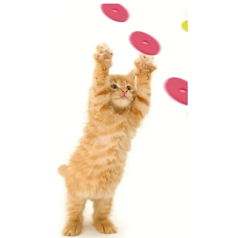 Pistola Lançadora de Frisbee para Cães e Gatos com 15 Frisbees de Espuma Reutilizáveis - Imagem 3