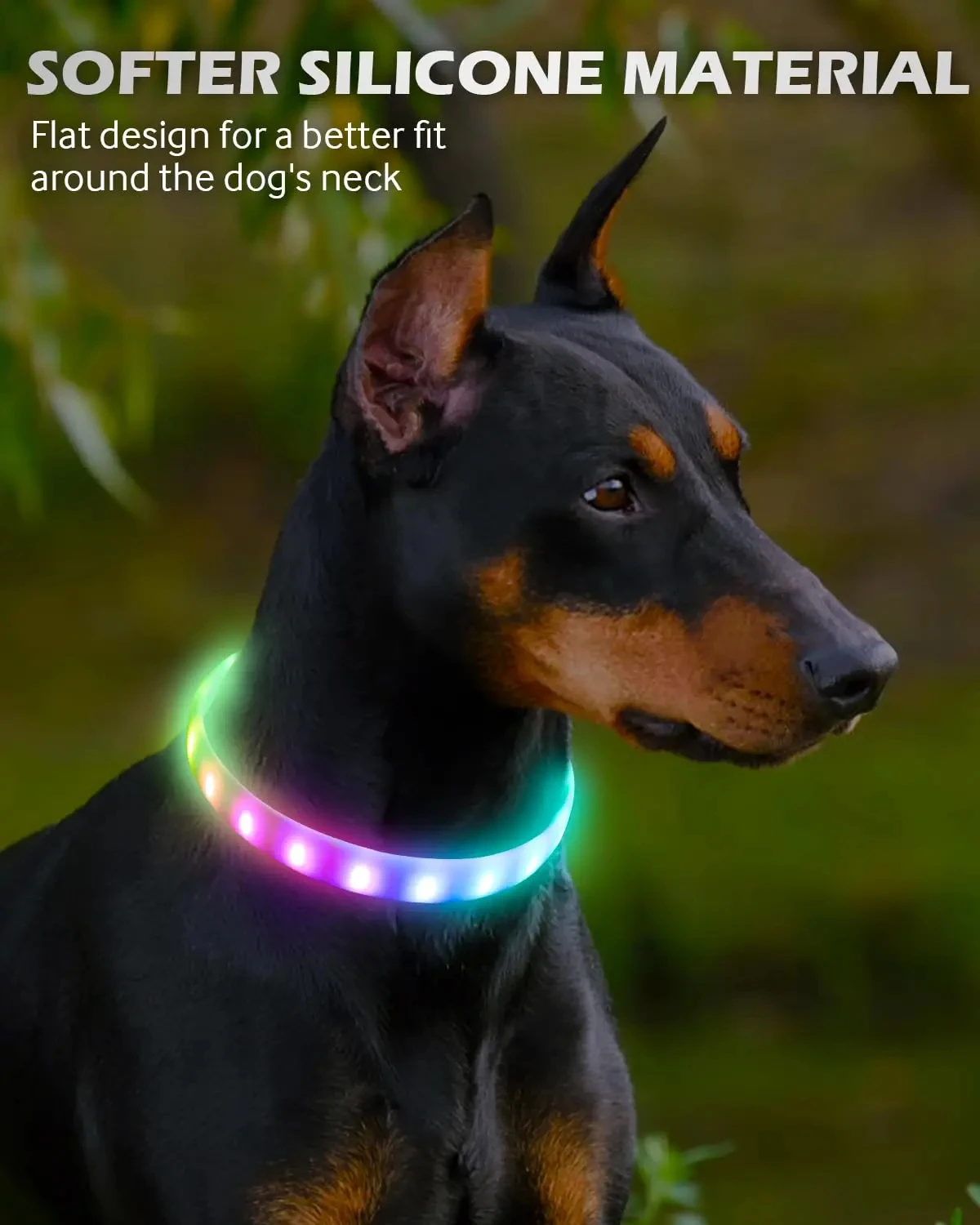 coleira LED para cães USB recarregável