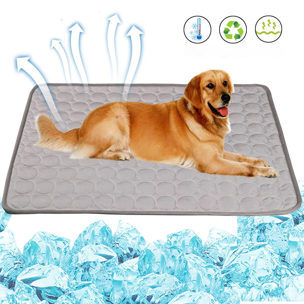 cobertor gelado para cães e gatos