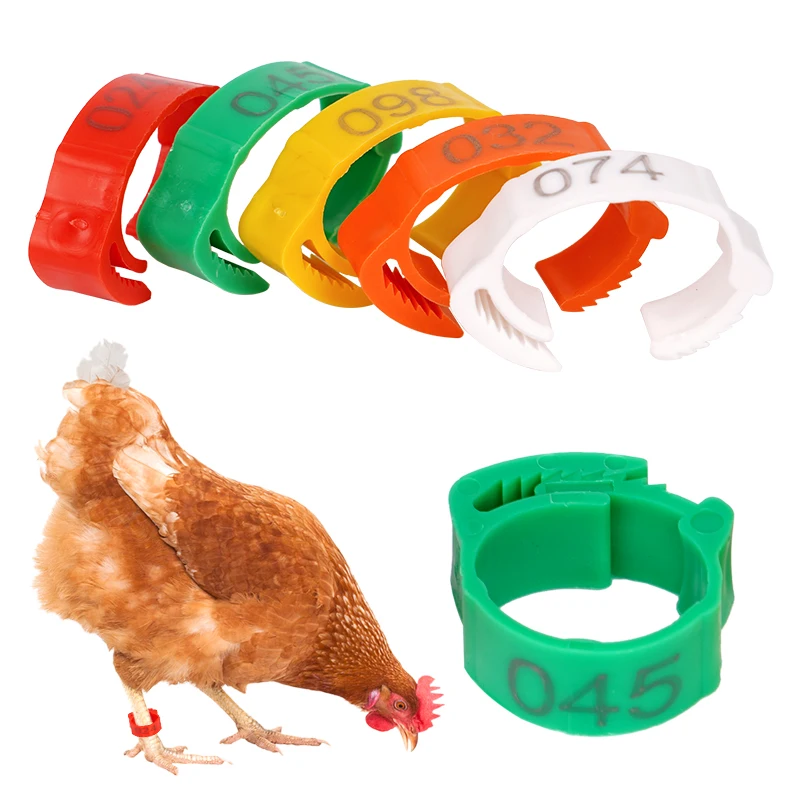 Anel de Identificação para Aves Ajustável de Plástico Reutilizável - Imagem 2