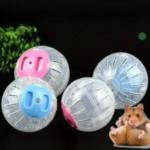 bola de exercício para hamster