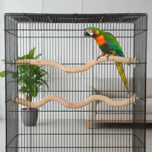 poleiro de árvore para pássaros