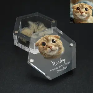 caixa de lembrança para pets com foto