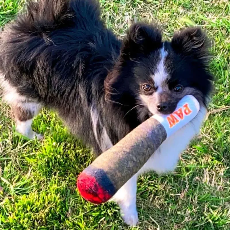 Brinquedo de Pelúcia para Cães com Squeaker Interno - Imagem 2