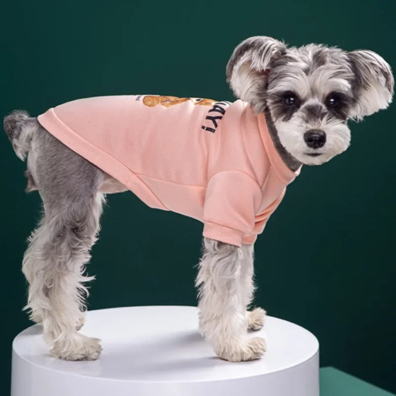 Suéter para Cães e Gatos Pequenos com Padrão de Urso Quente - Imagem 3