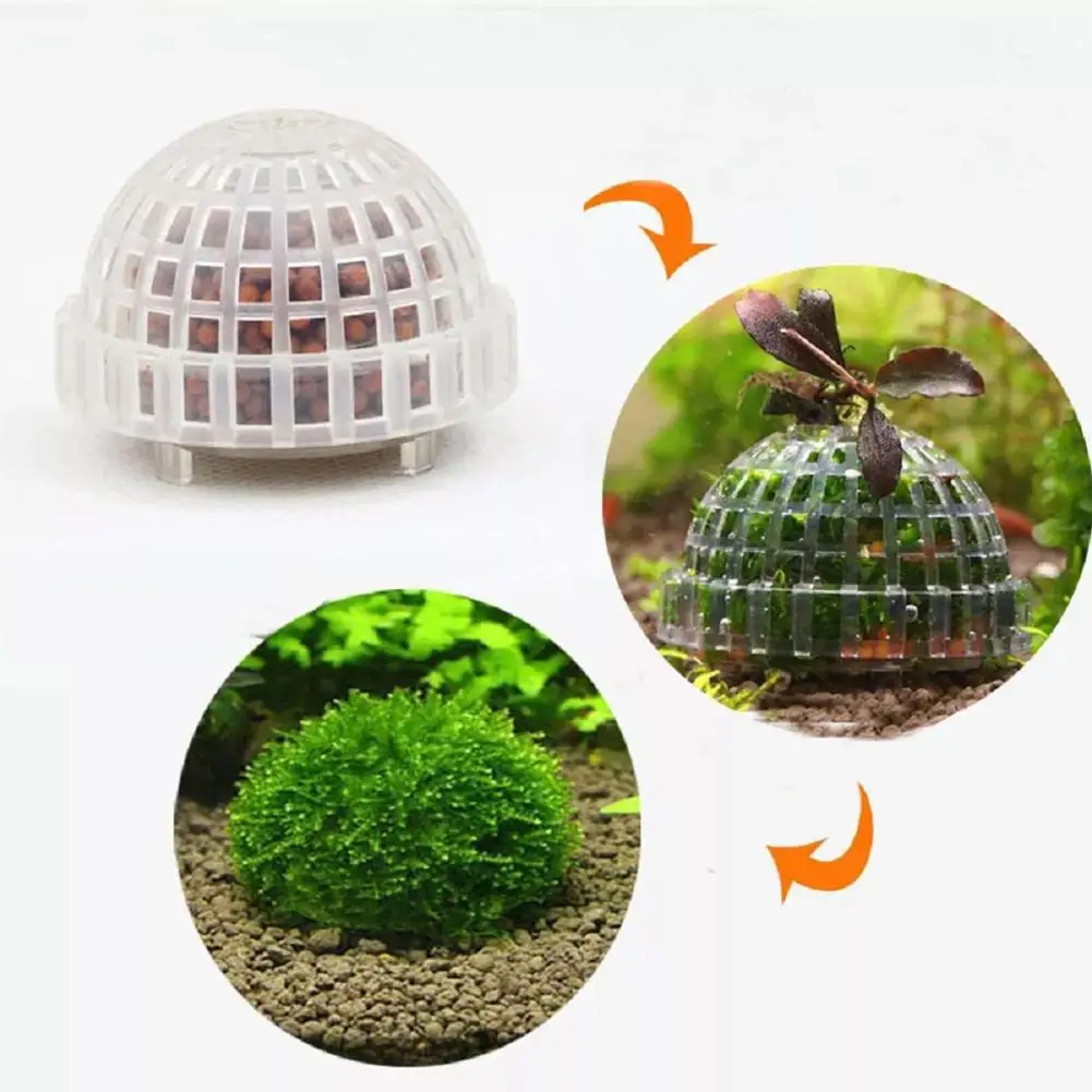 Suporte para Musgo de Aquário de Plástico Transparente 5x3 cm para Tanque de Peixes - Imagem 2