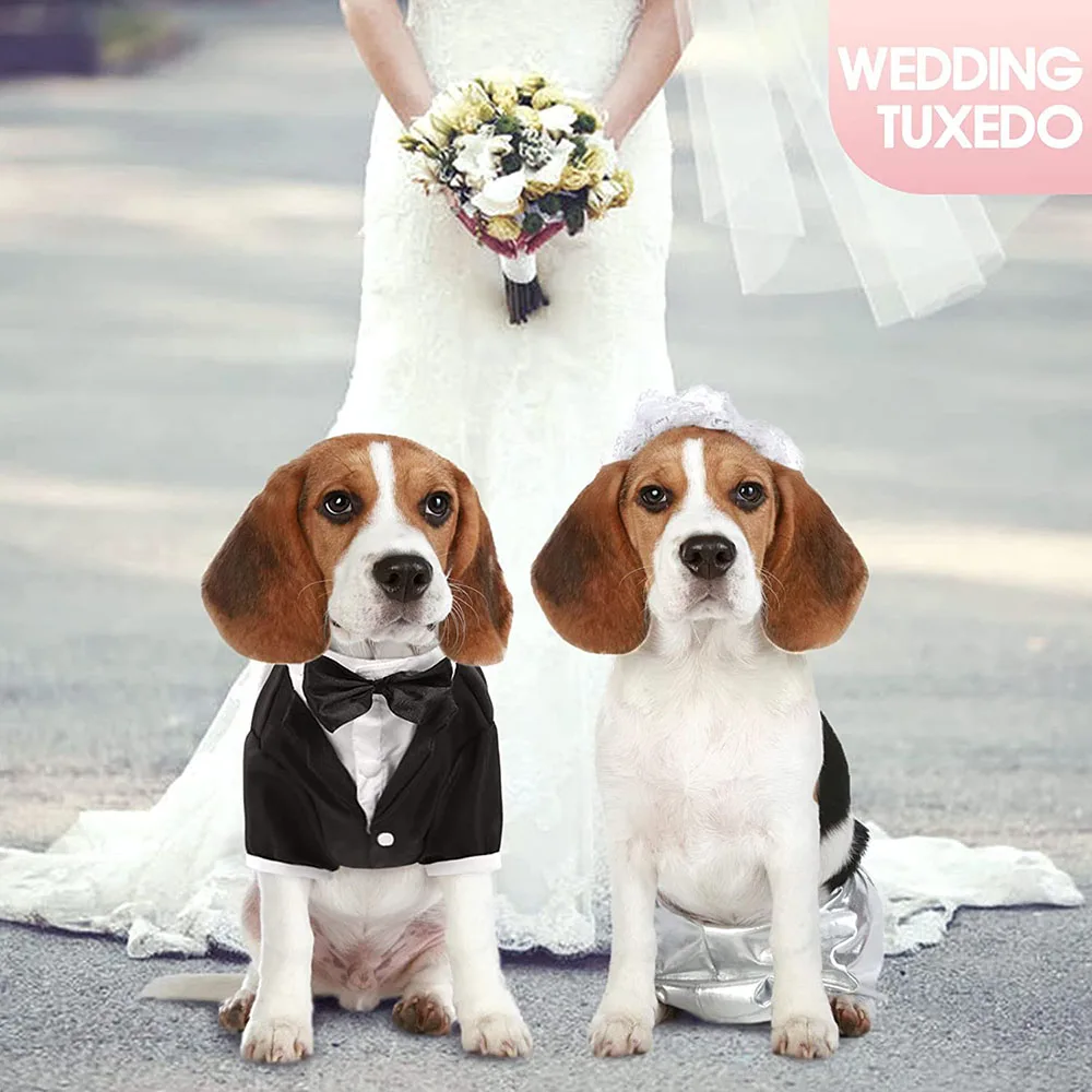 Roupa Social Pet para Cães e Gatos com Gravata Borboleta - Imagem 5
