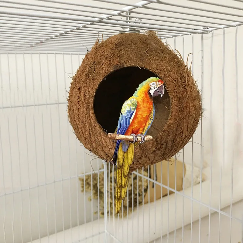 ninho de casca de coco para pássaros