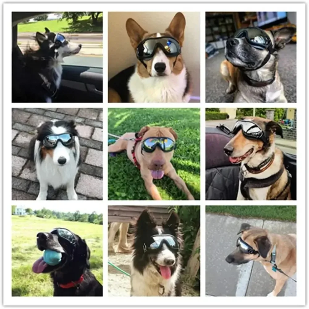 Óculos de Sol para Cães com Alça Ajustável e Proteção UV - Image 4