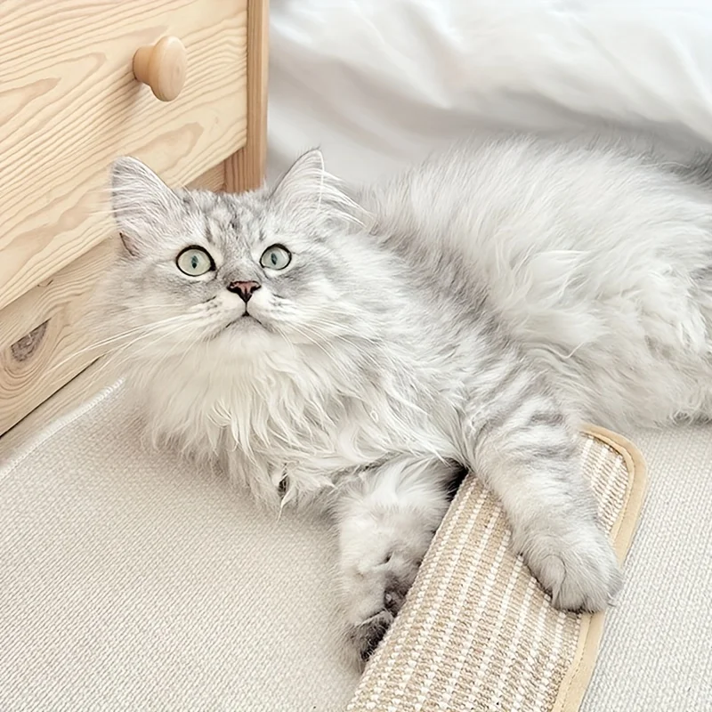 Capa de Cama para Pets de Sisal Resistente com Almofada - Image 4