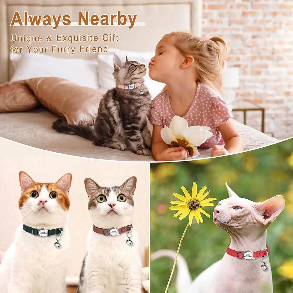 Coleira de Couro PU para Gatos e Cães Pequenos 20-30 cm Gravada - Imagem 5