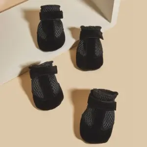 botas de chuva para cães