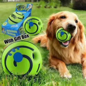 bola interativa para cães