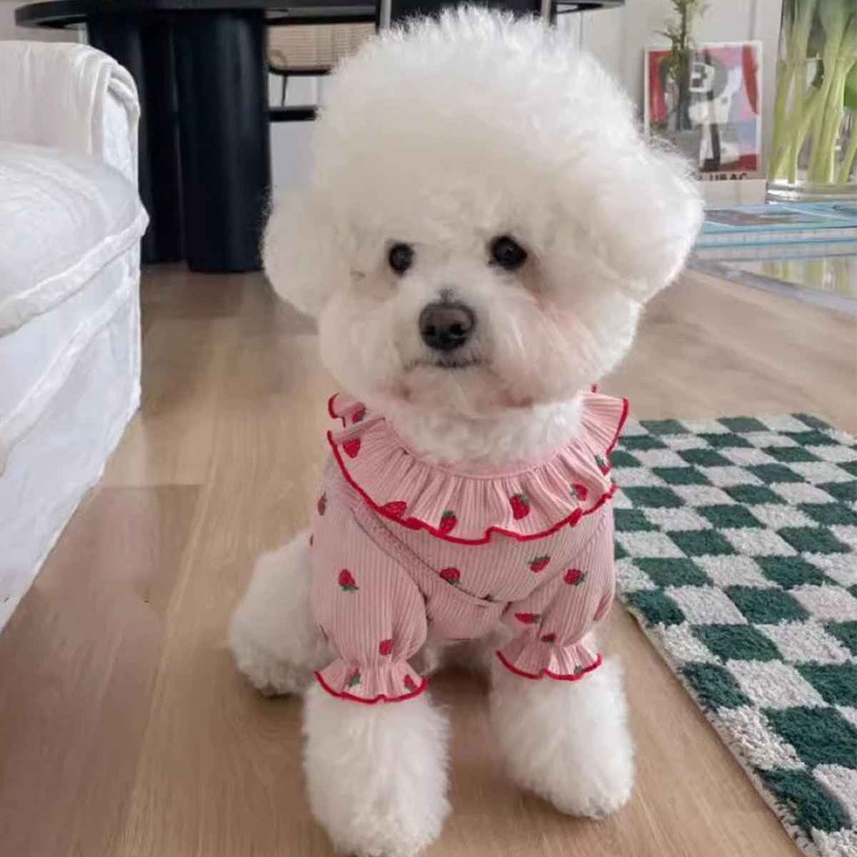 Roupa para Cães e Gatos Pequenos de Morango com Colete Respirável - Imagem 4