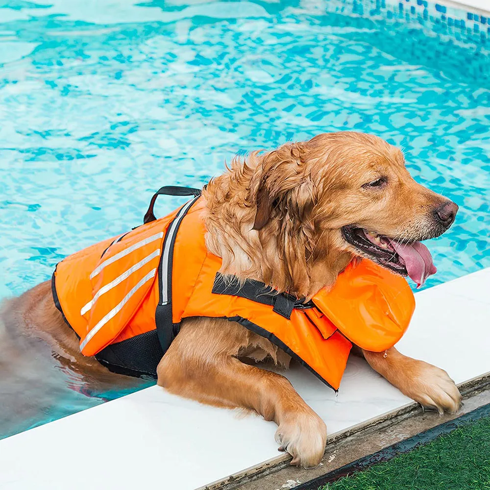 Colete Salva-Vidas para Cães com Alça para Natação e Praia - Image 3