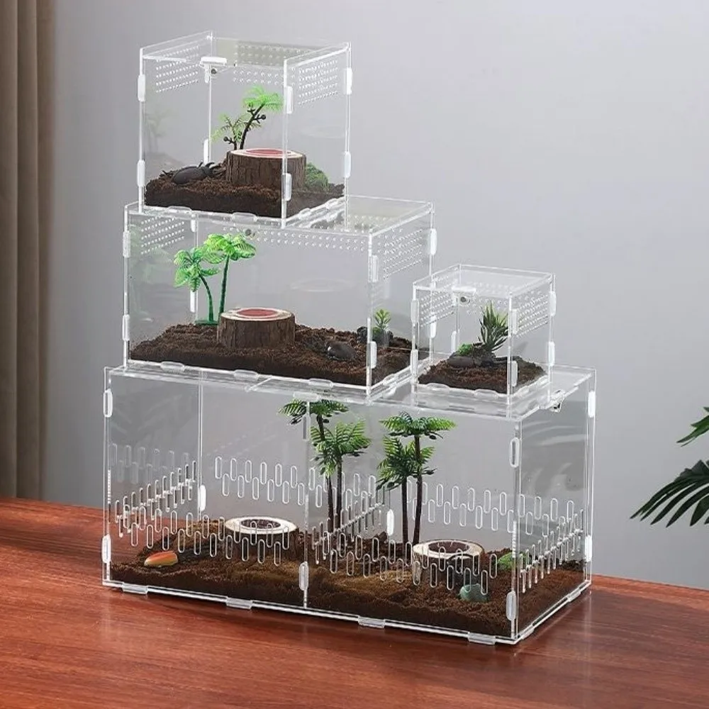 Terrário de Acrílico para Aranhas com 2 Portas e Ventilação - Imagem 4