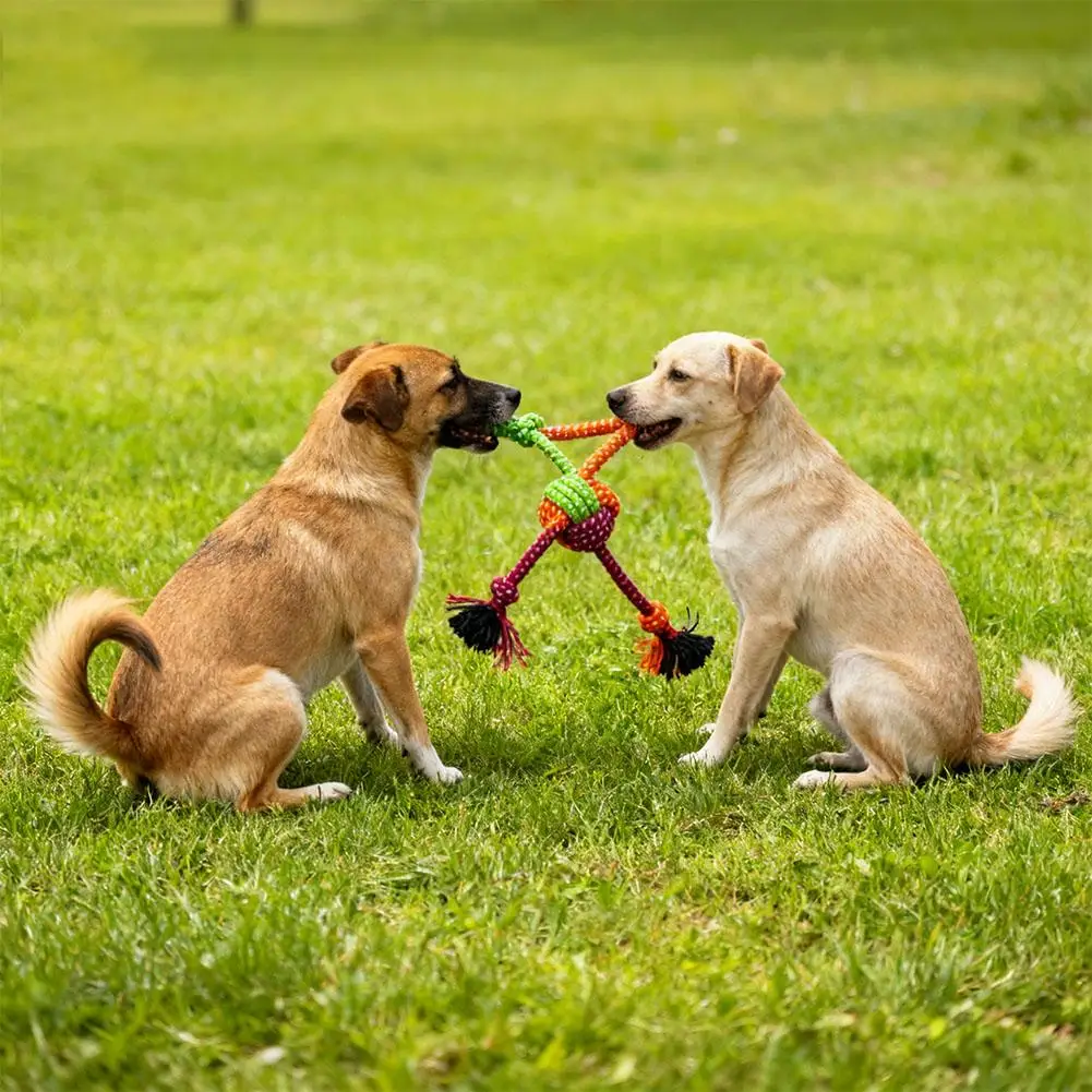 Brinquedo de Nó para Cães de Corda de Algodão 5,5 cm para Mastigar - Imagem 3