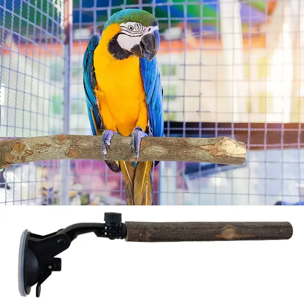 Poleiro de Madeira para Pássaros com Ventosas para Janela - Imagem 3
