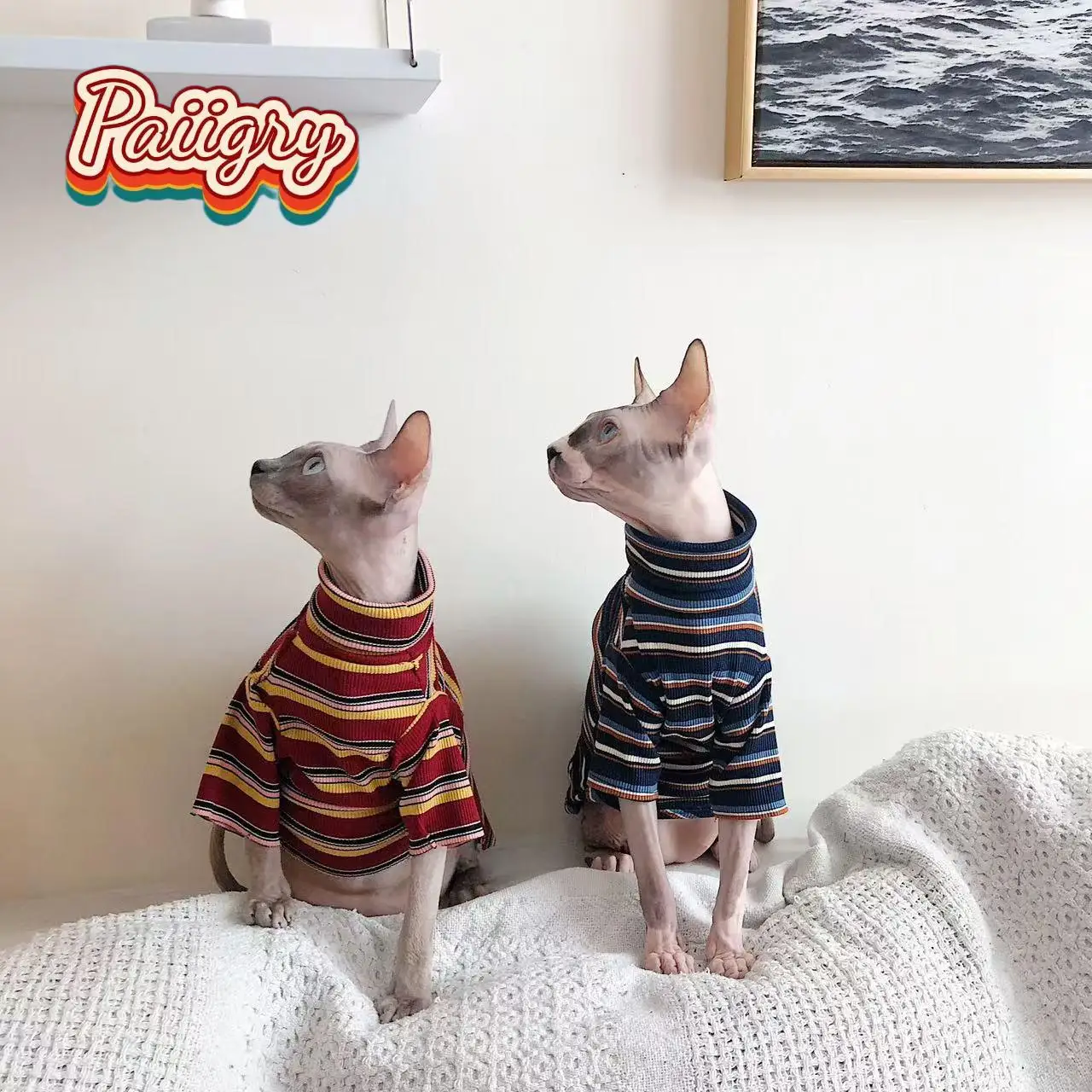 Camiseta para Gatos Manga Curta Estilo Retrô - Imagem 4