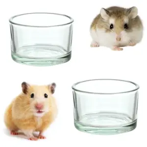 tigela para hamster de vidro