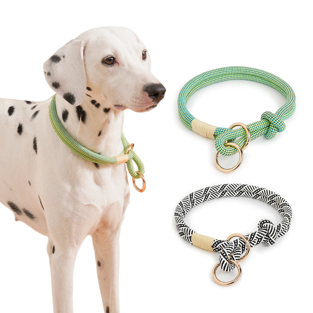 Coleira e Guia para Cães de Nylon com Estampa Listrada - Imagem 3