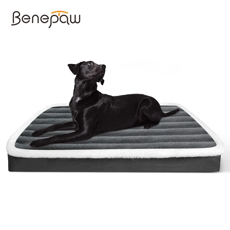 cama para cães e gatos com capa lavável