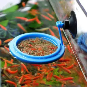anel de alimentação para aquário quadrado