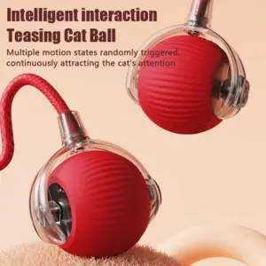 bola rolante automática para gatos