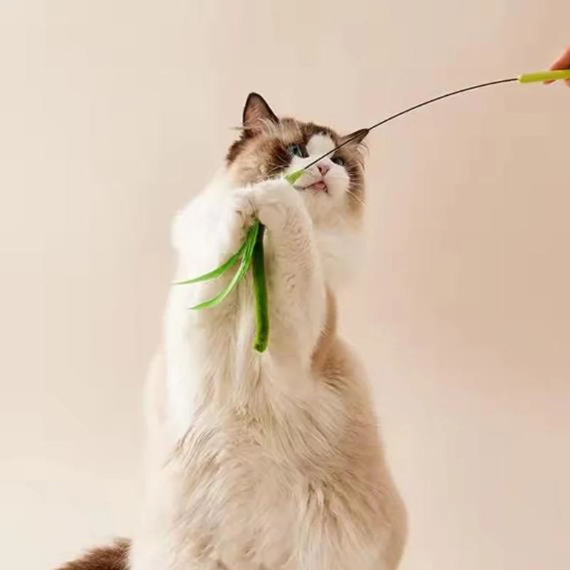 Brinquedo Varinha para Gatos Pluma e Arame Flexível - Image 4