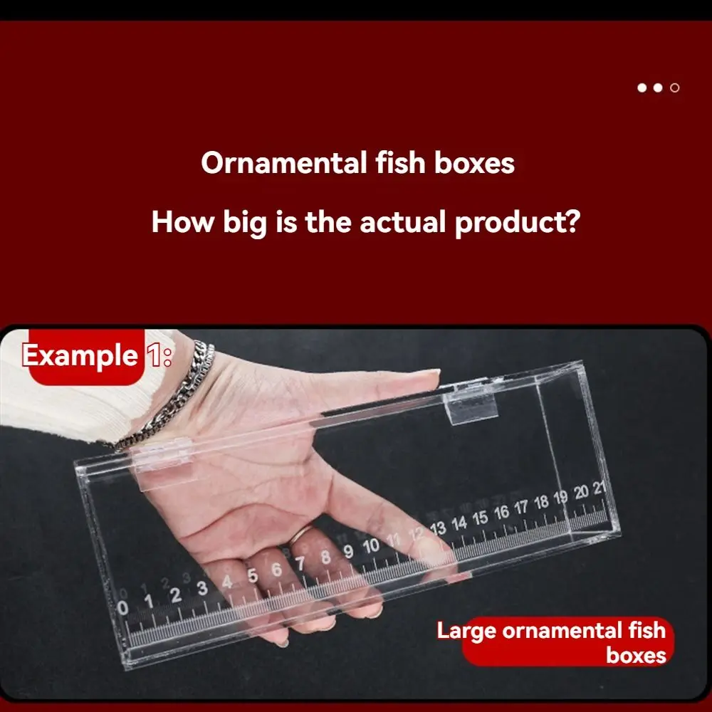 Caixa de Visualização de Peixes em Acrílico Transparente com Tampa - Imagem 2