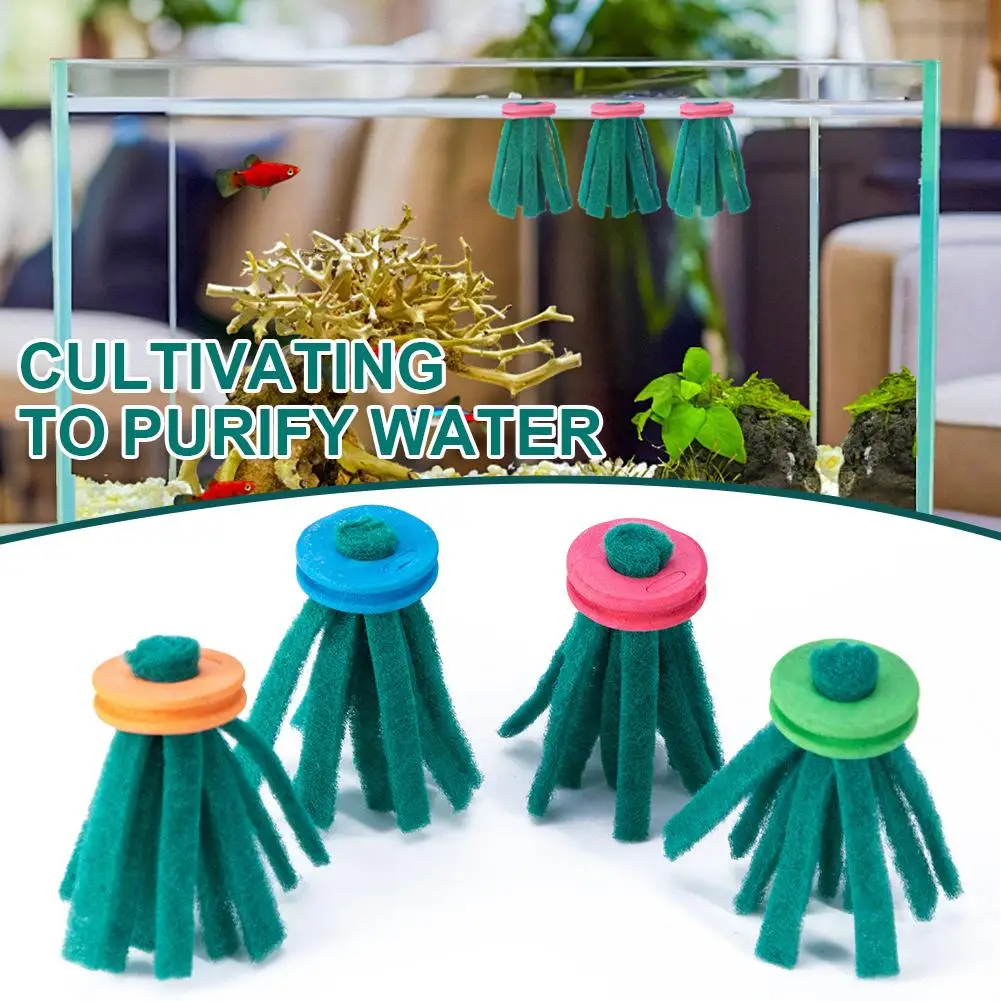 coletor de ovos flutuante para aquário
