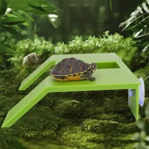 plataforma flutuante para tartarugas