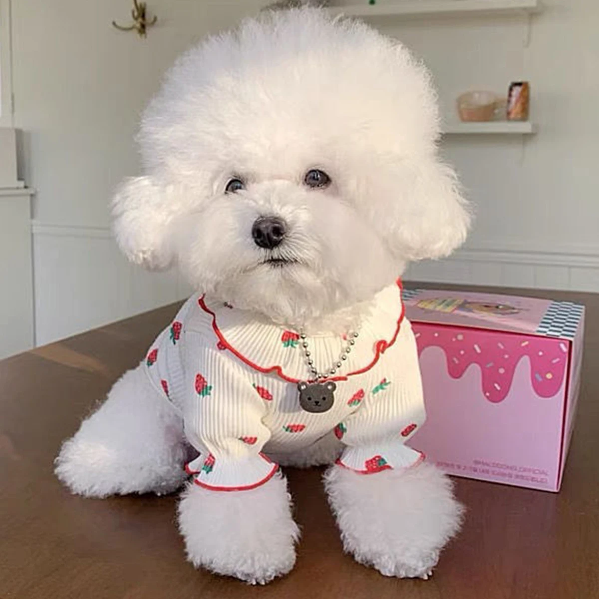 Roupa para Cães e Gatos Pequenos de Morango com Colete Respirável - Imagem 2