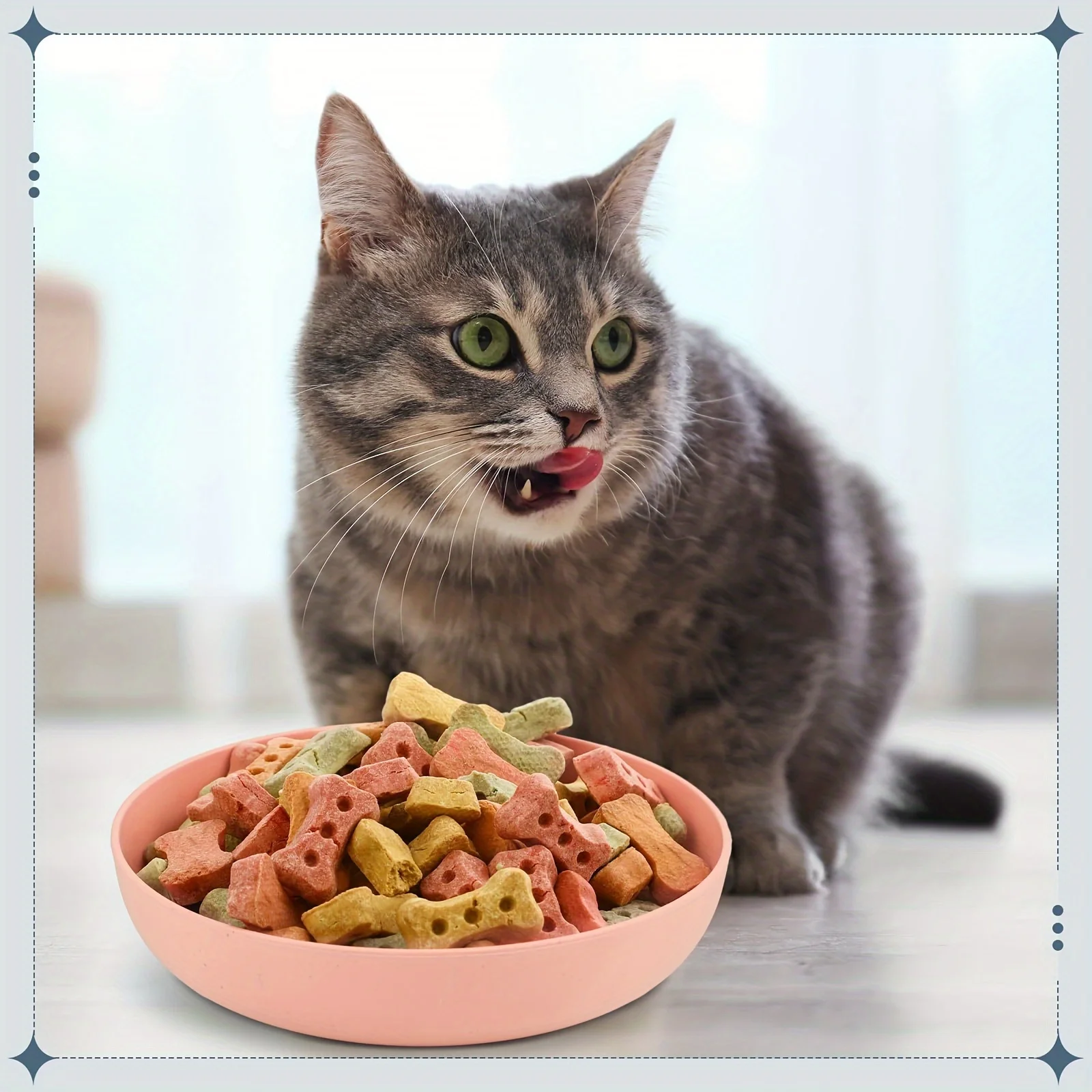 Kit 4 Tigelas para Gatos Rasas Coloridas Antiderrapantes - Imagem 6