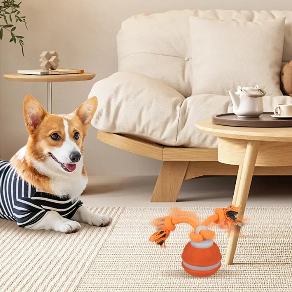 Bola Interativa para Cães e Gatos com Corda e Carregamento Tipo C - Imagem 5