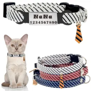 coleira para gato e filhote ajustável
