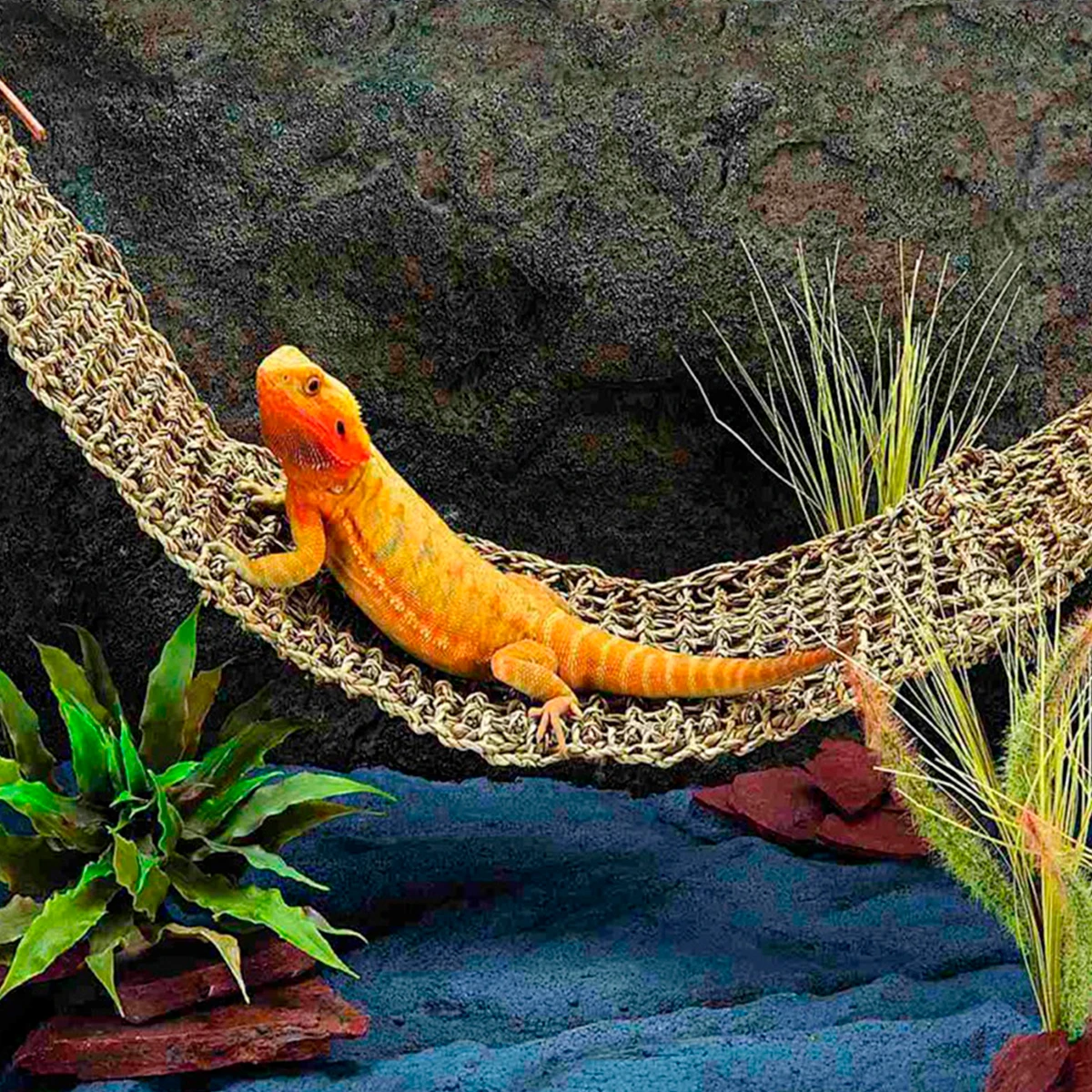 Rede para Répteis de Fibra Natural 75x18 cm com Ventosas - Imagem 4