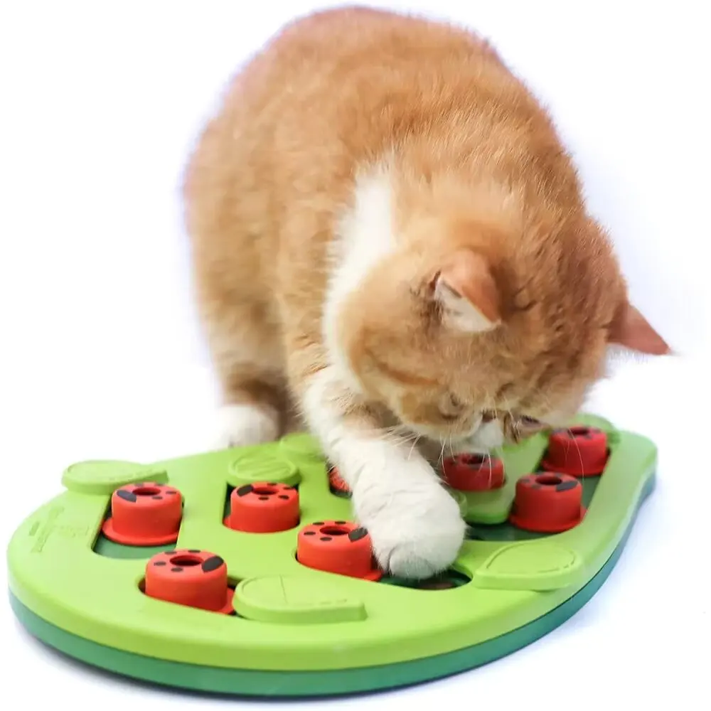 Brinquedo Quebra-Cabeça para Gatos de Plástico com Dificuldade Ajustável - Imagem 5
