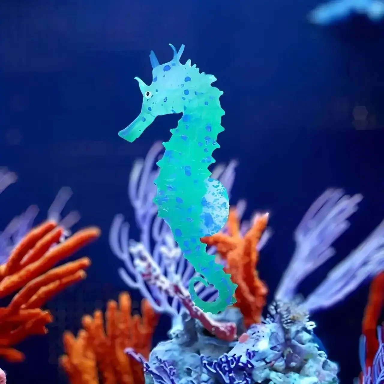 Decoração Cavalo-Marinho de Silicone para Aquário com Efeito Luminoso - Imagem 2