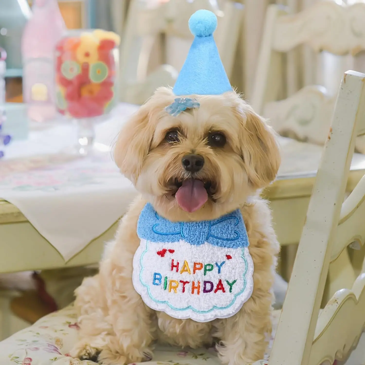 Bandana e Chapéu de Aniversário para Gato e Cão, 2 Peças - Image 6