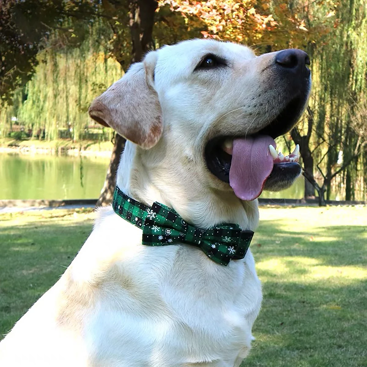 Coleira para Cães e Gatos com Gravata Borboleta Xadrez Ajustável - Imagem 5