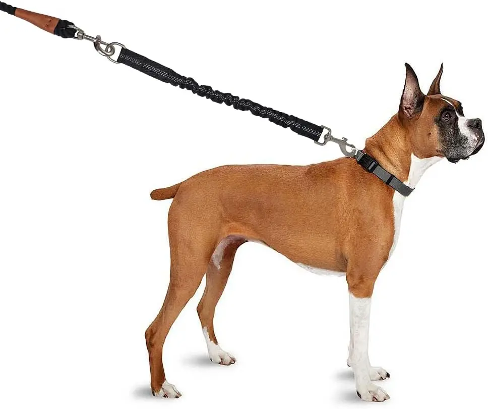 Extensor de Coleira Retrátil para Cães Pequenos e Médios com Fivela de Metal - Imagem 5