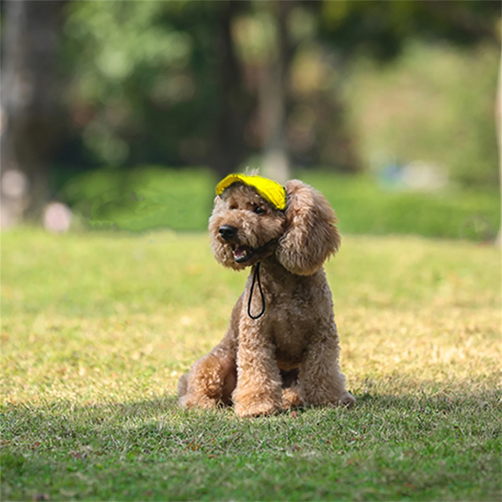 Boné de Beisebol para Cães com Furos para Orelhas Ajustável - Imagem 6