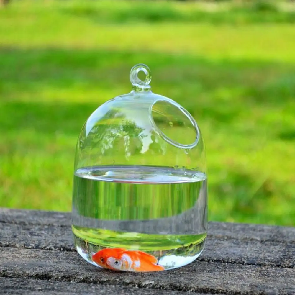 Aquário de Vidro Redondo para Peixes com Suporte Decorativo - Image 6