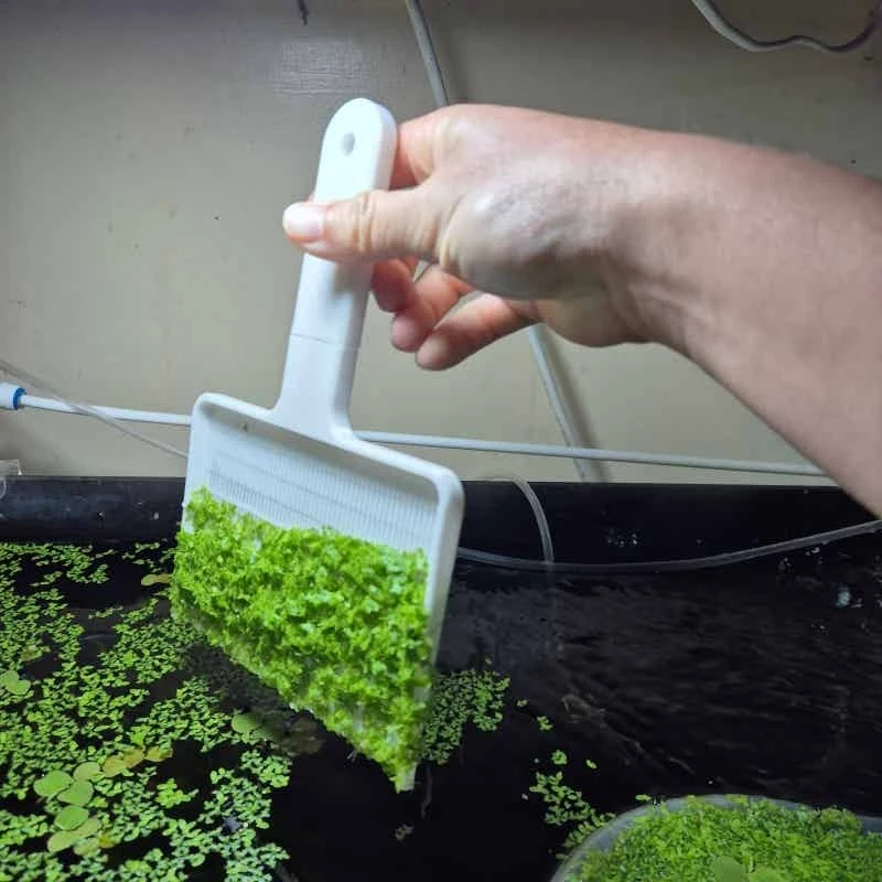 Escumadeira para Aquário para Remover Plantas Flutuantes - Imagem 4