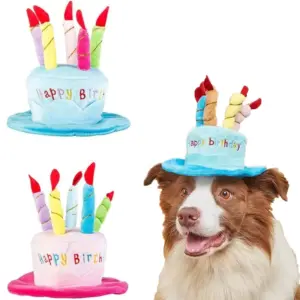 chapéu de aniversário para cães e gatos