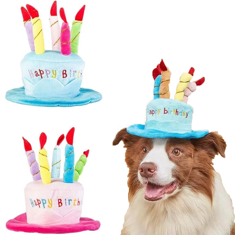 chapéu de aniversário para cães e gatos