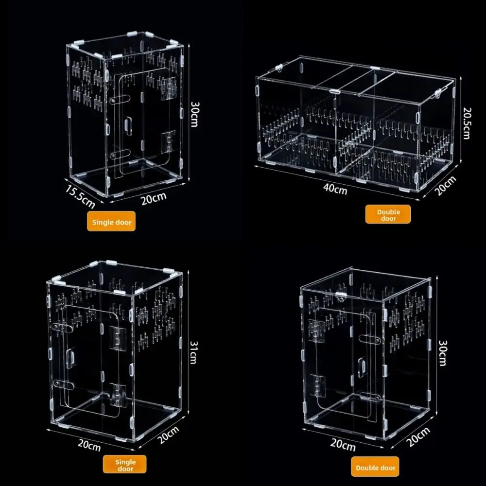 Terrário de Acrílico para Aranhas com 2 Portas e Ventilação - Imagem 6